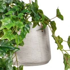 Patt Hanging Plant Pot - Grey Washed -Hortology Plants Shop Ivy Hanging Bush Artificial 70cm Patt Hanging Pot Grey Washed 20x17cm 2
