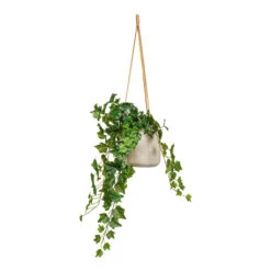 Patt Hanging Plant Pot - Grey Washed -Hortology Plants Shop Ivy Hanging Bush Artificial 70cm Patt Hanging Pot Grey Washed 20x17cm