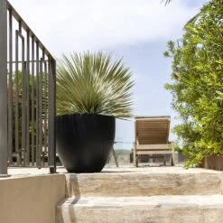 Jesslyn Natural Planter - Black 15 Jesslyn Natural Planter - Black -Hortology Plants Shop Jesslyn Natural Planter Black Large Patio Planter da61951c e7e8 4898 be23 5e29fba17043