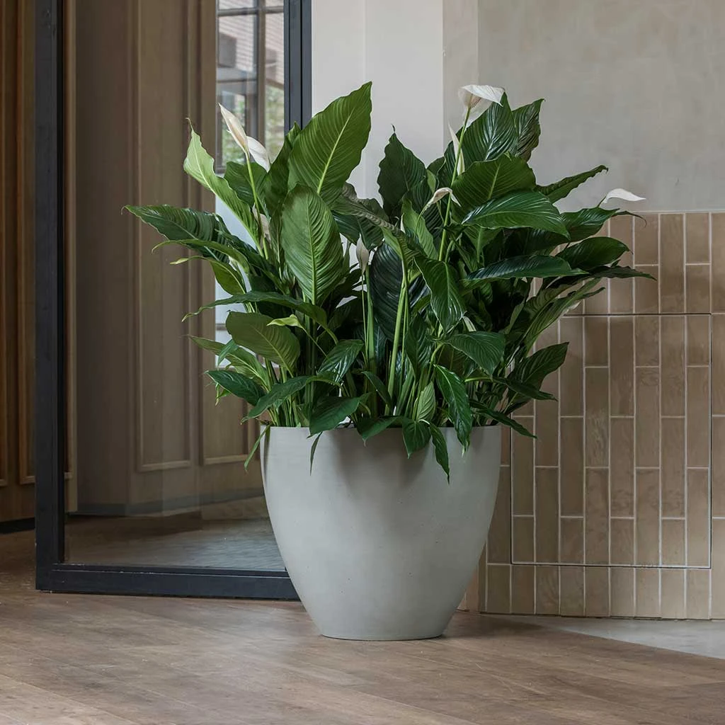 Jesslyn Refined Planter - Clouded Grey 4 Jesslyn Refined Planter - Clouded Grey - Image 2