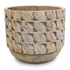 Jim Plant Pot - Shell -Hortology Plants Shop Jim Plant Pot Shell 17x14cm