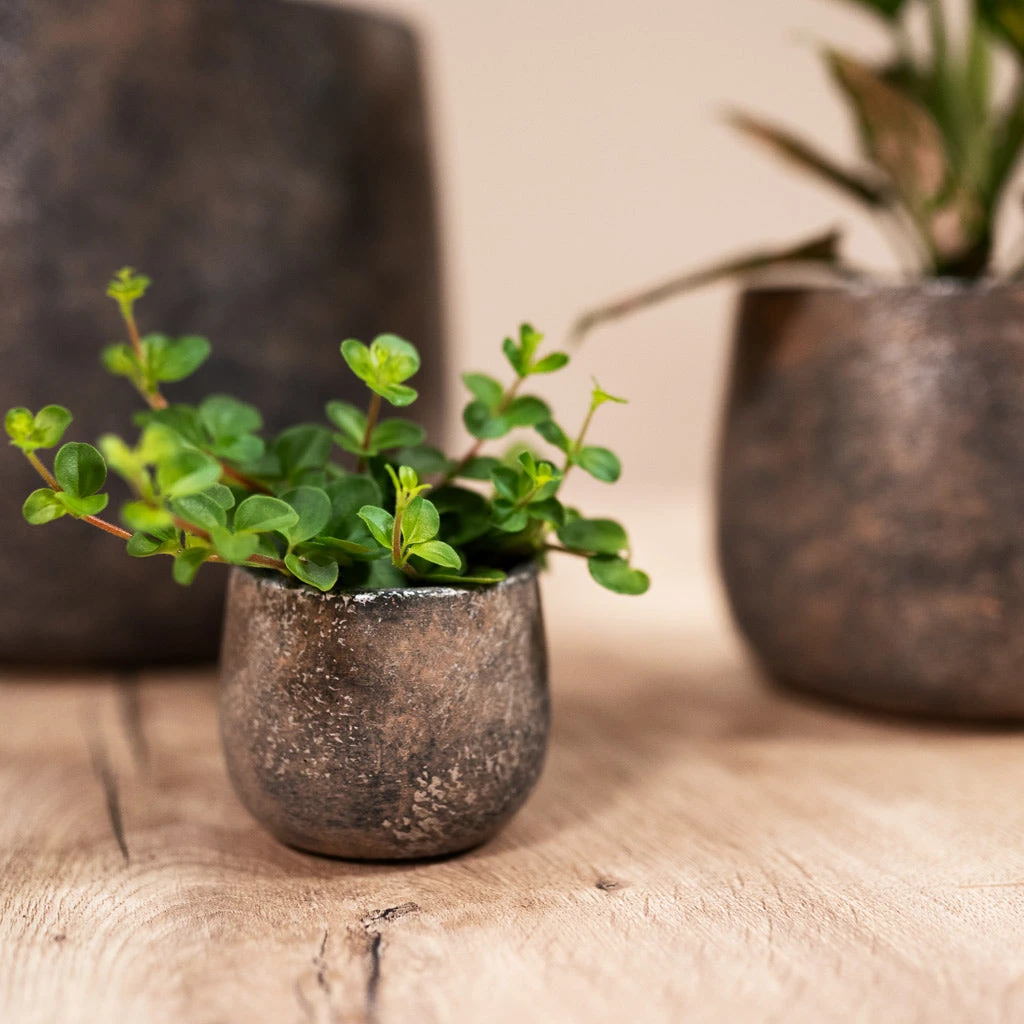 Jules Plant Pot - Smoked Earth 12 Jules Plant Pot - Smoked Earth - Image 10