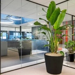 Jumbo Bucket Natural Planter - Black 10 Jumbo Bucket Natural Planter - Black -Hortology Plants Shop Jumbo Bucket Natural Planter Black 98x85cm Lifestyle 2