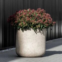 Jumbo Charlie Planter - Stone Washed -Hortology Plants Shop Jumbo Charlie Planter Stone Washed Garden Plant