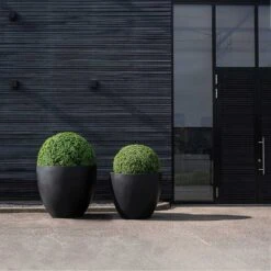 Jumbo Jesslyn Natural Planter - Black 10 Jumbo Jesslyn Natural Planter - Black -Hortology Plants Shop Jumbo Jesslyn Natural Planter Black Entrance Planters
