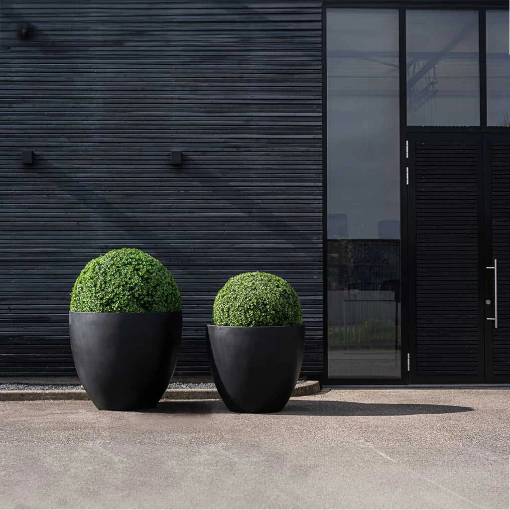Jumbo Jesslyn Natural Planter - Black 6 Jumbo Jesslyn Natural Planter - Black - Image 4