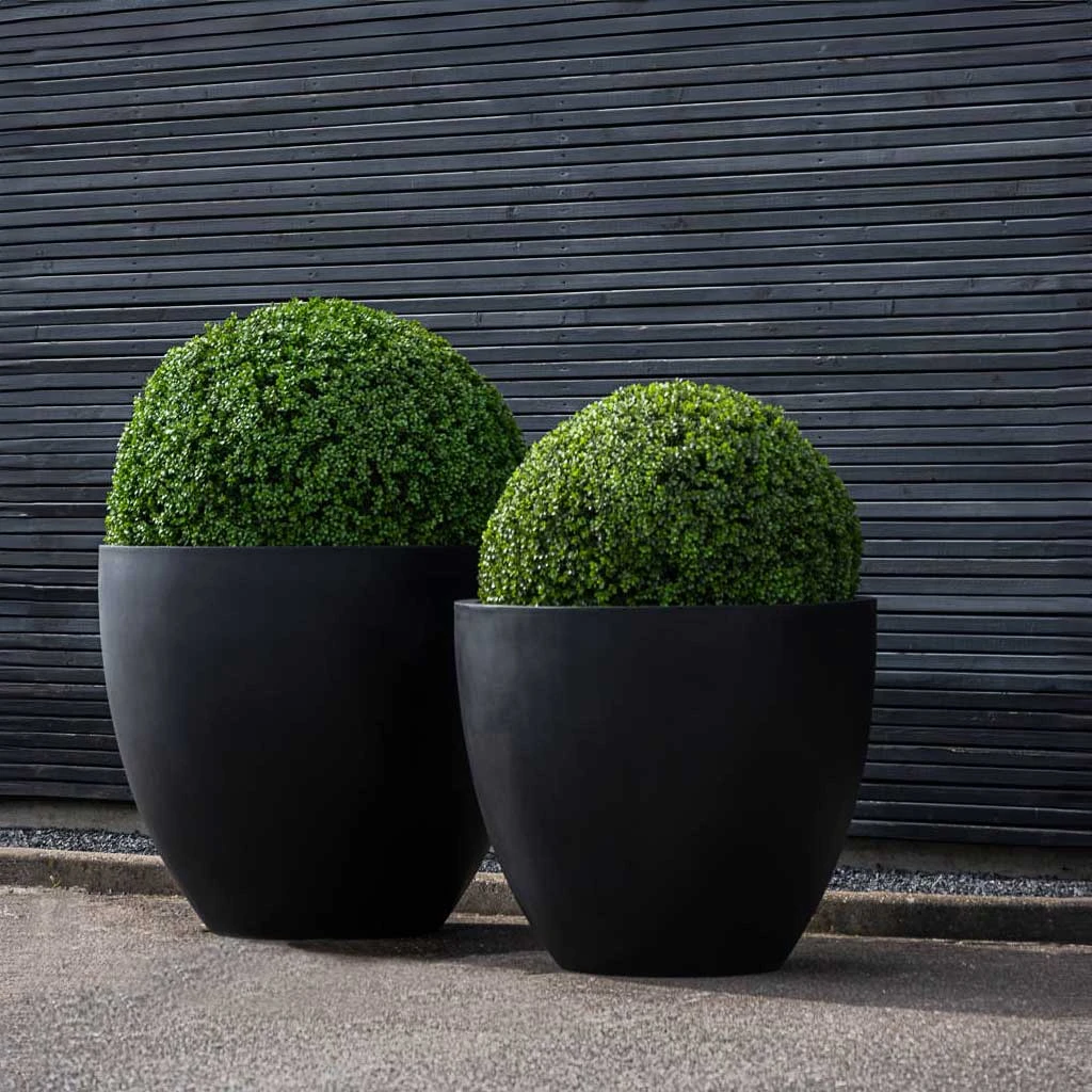 Jumbo Jesslyn Natural Planter - Black 4 Jumbo Jesslyn Natural Planter - Black - Image 2