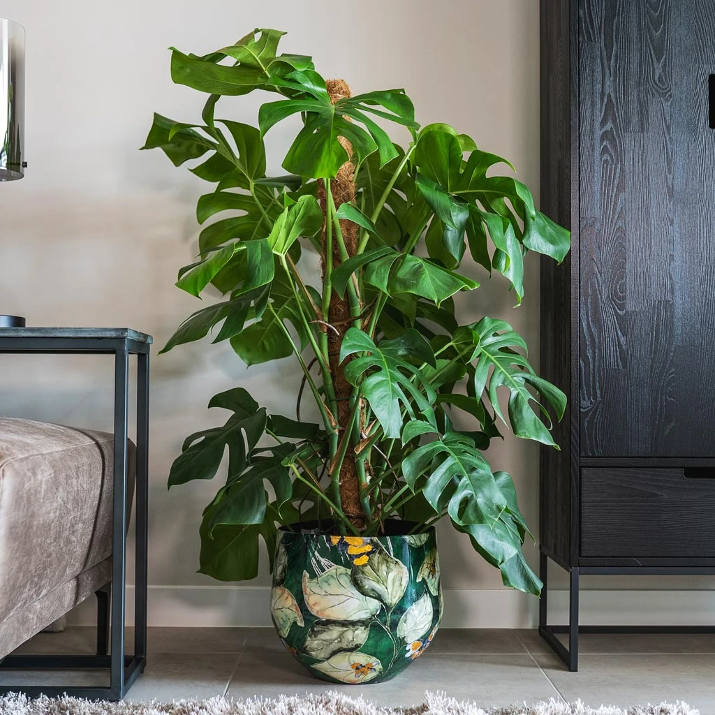 Lammie Plant Pot - Bee Green 4 Lammie Plant Pot - Bee Green - Image 2