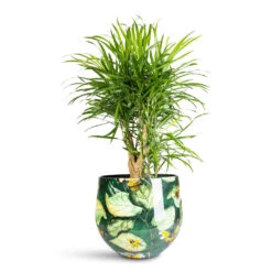 Lammie Plant Pot - Bee Green
