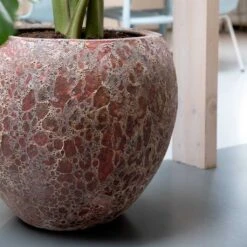 Lava Balloon Relic Planter - Pink 15 Lava Balloon Relic Planter - Pink -Hortology Plants Shop Lava Balloon Relic Planter Pink 2