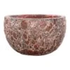 Lava Bowl Relic Planter - Pink -Hortology Plants Shop Lava Bowl Relic Planter Pink
