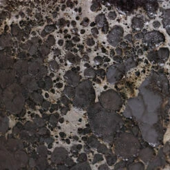 Lava Bowl Relic Planter - Black -Hortology Plants Shop Lava Couple Straight Relic Planter Black 2 acfe2d84 cf20 443b 9979 9bb78f099cba