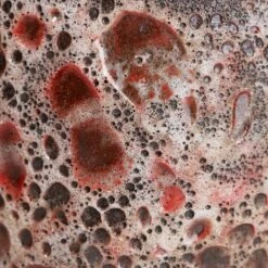 Lava Bowl Relic Planter - Pink 10 Lava Bowl Relic Planter - Pink -Hortology Plants Shop Lava Couple Straight Relic Planter Pink Swatch 3 69748dee 109b 4b1c 859d c8db66fa7bea