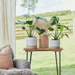 Puro Ripple Plant Pot - White 14 Puro Ripple Plant Pot - White -Hortology Plants Shop Lifestyle Puro Ripple Plant Pot 21x19cm 78129612 f541 46ee b1c8 f828cfeb6eb8