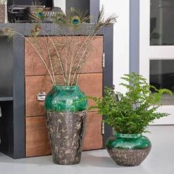 Lindy Bottle Plant Vase - Black Green 11 Lindy Bottle Plant Vase - Black Green -Hortology Plants Shop Lindy Bottle Plant Vase Jar Black Green LS2