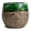 Lindy Plant Pot - Black Green -Hortology Plants Shop Lindy Plant Pot Black Green 23cm