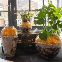 Lindy Jar Plant Pot - Ochre 10 Lindy Jar Plant Pot - Ochre -Hortology Plants Shop Lindy Plant Pot Ochre ae30a083 25b9 4086 a6cd 6dae84a6a7f4