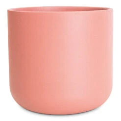 Lisbon Plant Pot - Blush Rose 23 Lisbon Plant Pot - Blush Rose -Hortology Plants Shop Lisbon Pot Blush Rose 13.5x13.5cm 80f8b098 1197 40ba 9095 d5b14b599fe0