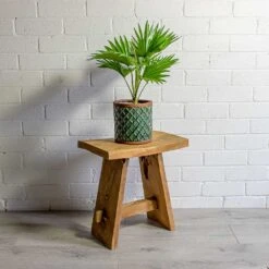 Livistona Rotundifolia - Footstool Palm -Hortology Plants Shop Livistona rotundifolia Footstool Palm liam turquoise plant pot natural