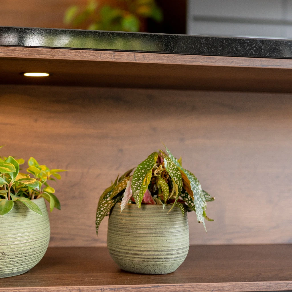 Lydia Plant Pot - Shiny Green 20 Lydia Plant Pot - Shiny Green - Image 18