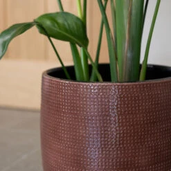 Lykke Plant Pot - Chestnut Blush 15 Lykke Plant Pot - Chestnut Blush -Hortology Plants Shop Lykke Chestnut 2