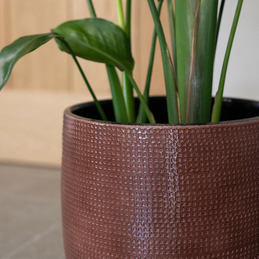 Lykke Plant Pot - Chestnut Blush 7 Lykke Plant Pot - Chestnut Blush - Image 5