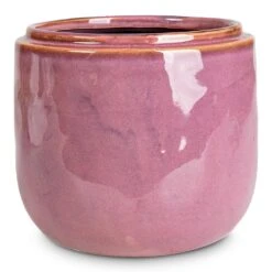 Mabel Plant Pot - Cherry -Hortology Plants Shop Mabel Pot Cherry 15x13cm