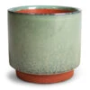 Malibu Plant Pot - Green -Hortology Plants Shop Malibu Plant Pot Green 12x11cm 58791e79 d589 480a 8482 0e48c882a06a