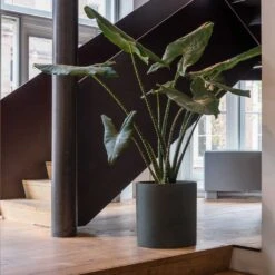 Max Refined Planter - Pine Green -Hortology Plants Shop Max Refined Planter Pine Green 1