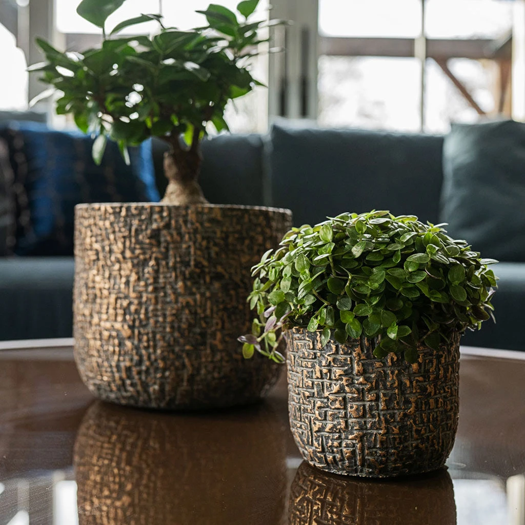 Maxim Plant Pot - Shiny Earth 7 Maxim Plant Pot - Shiny Earth - Image 5