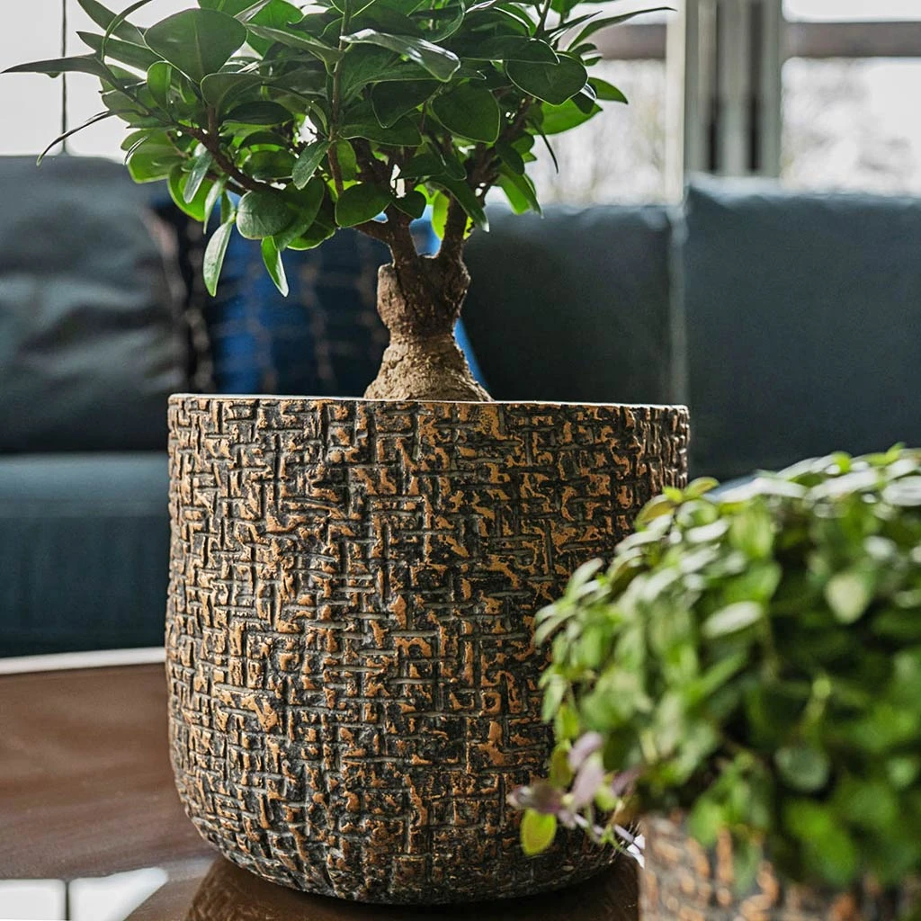 Maxim Plant Pot - Shiny Earth 5 Maxim Plant Pot - Shiny Earth - Image 3