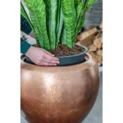 Metallic Couple Plant Pot - Matt Copper -Hortology Plants Shop Metallic Couple Plant Pot Matt Copper Sansevieria Lifestyle Close