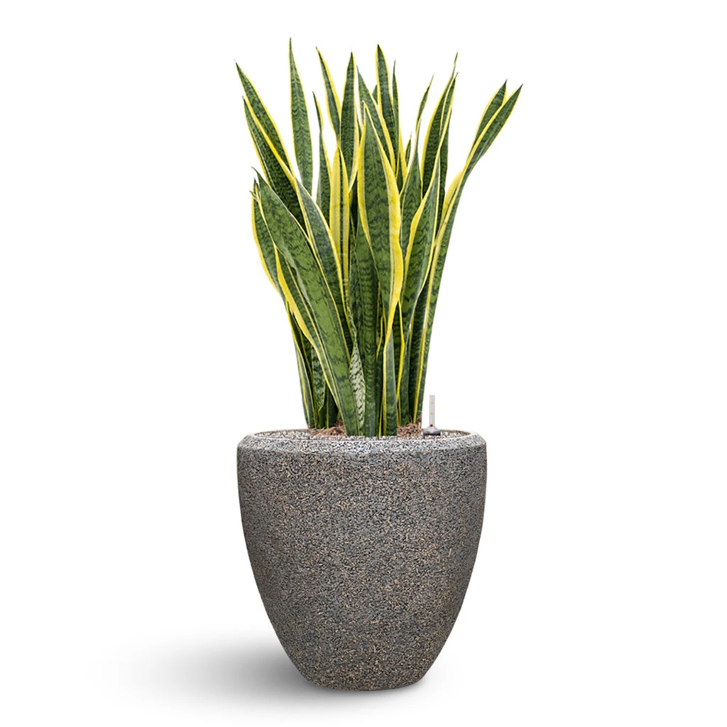 Naturescast Couple Planter - Grey 6 Naturescast Couple Planter - Grey - Image 4