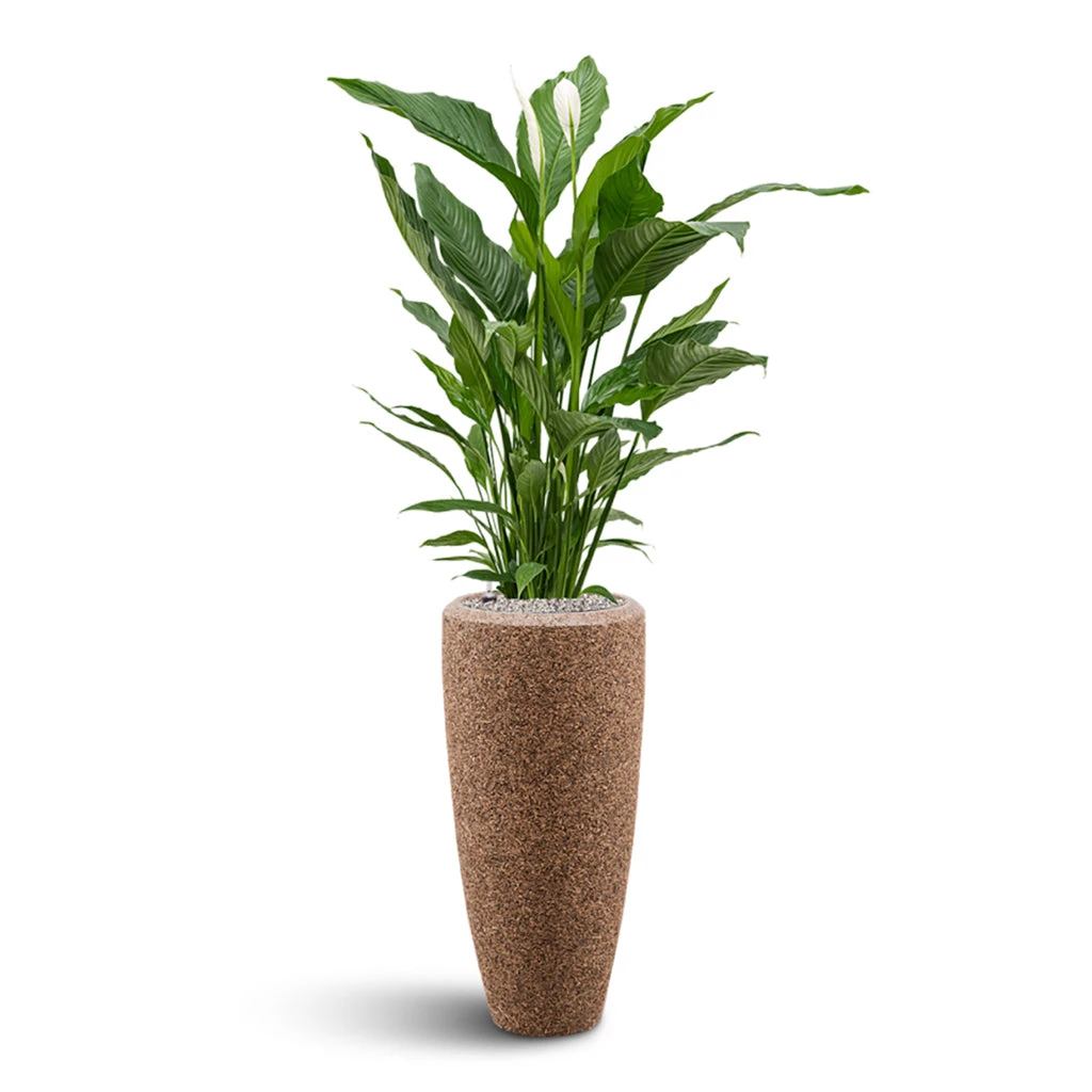 Naturescast Partner Planter - Natural 4 Naturescast Partner Planter - Natural - Image 2