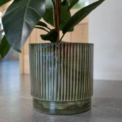 Nella Plant Pot - Forest -Hortology Plants Shop Nella Forest 6