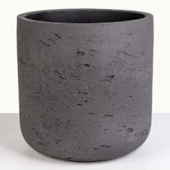 Charlie Plant Pot - Black Washed -Hortology Plants Shop New Charlie Black Washed 3