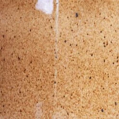 Nine Plant Pot - Caramel 17 Nine Plant Pot - Caramel -Hortology Plants Shop Nine Plant Pot Caramel Swatch.jpg bak