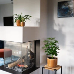 Nine Plant Pot - Caramel 16 Nine Plant Pot - Caramel -Hortology Plants Shop Nine caramel 04