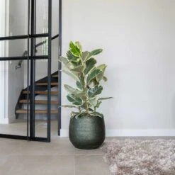 Noor Plant Pot - Velvet Green 25 Noor Plant Pot - Velvet Green -Hortology Plants Shop Noor Plant Pot Velvet Green 4