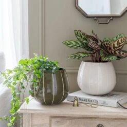 Nova Plant Pot - Cream 10 Nova Plant Pot - Cream -Hortology Plants Shop Nova Plant Pot Cream 23 x 18cm