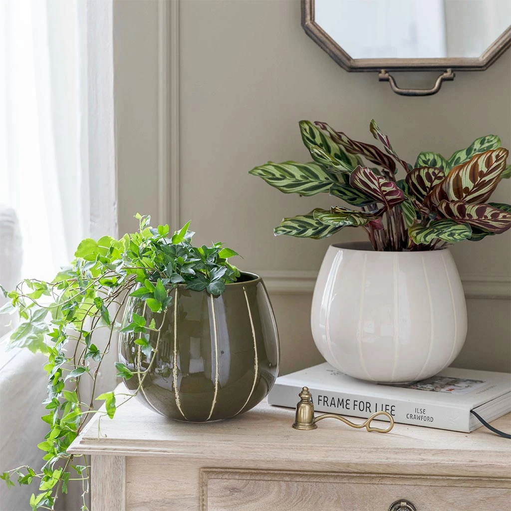 Nova Plant Pot - Cream 4 Nova Plant Pot - Cream - Image 2