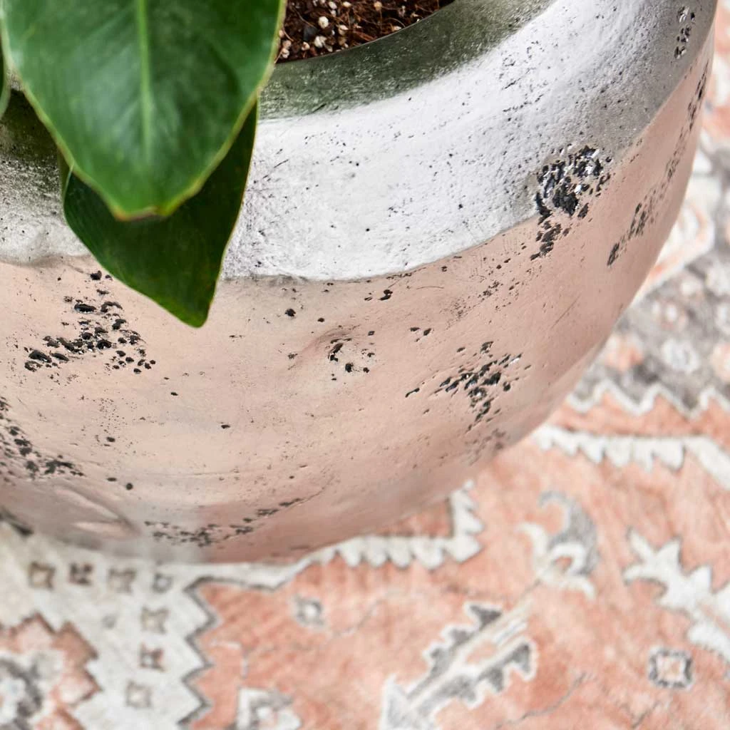 Opus Raw Couple Planter - Silver 6 Opus Raw Couple Planter - Silver - Image 4