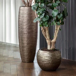 Opus Hammered Globe Planter - Gold 25 Opus Hammered Globe Planter - Gold -Hortology Plants Shop OpusHammeredPartnerPlanter Gold 3