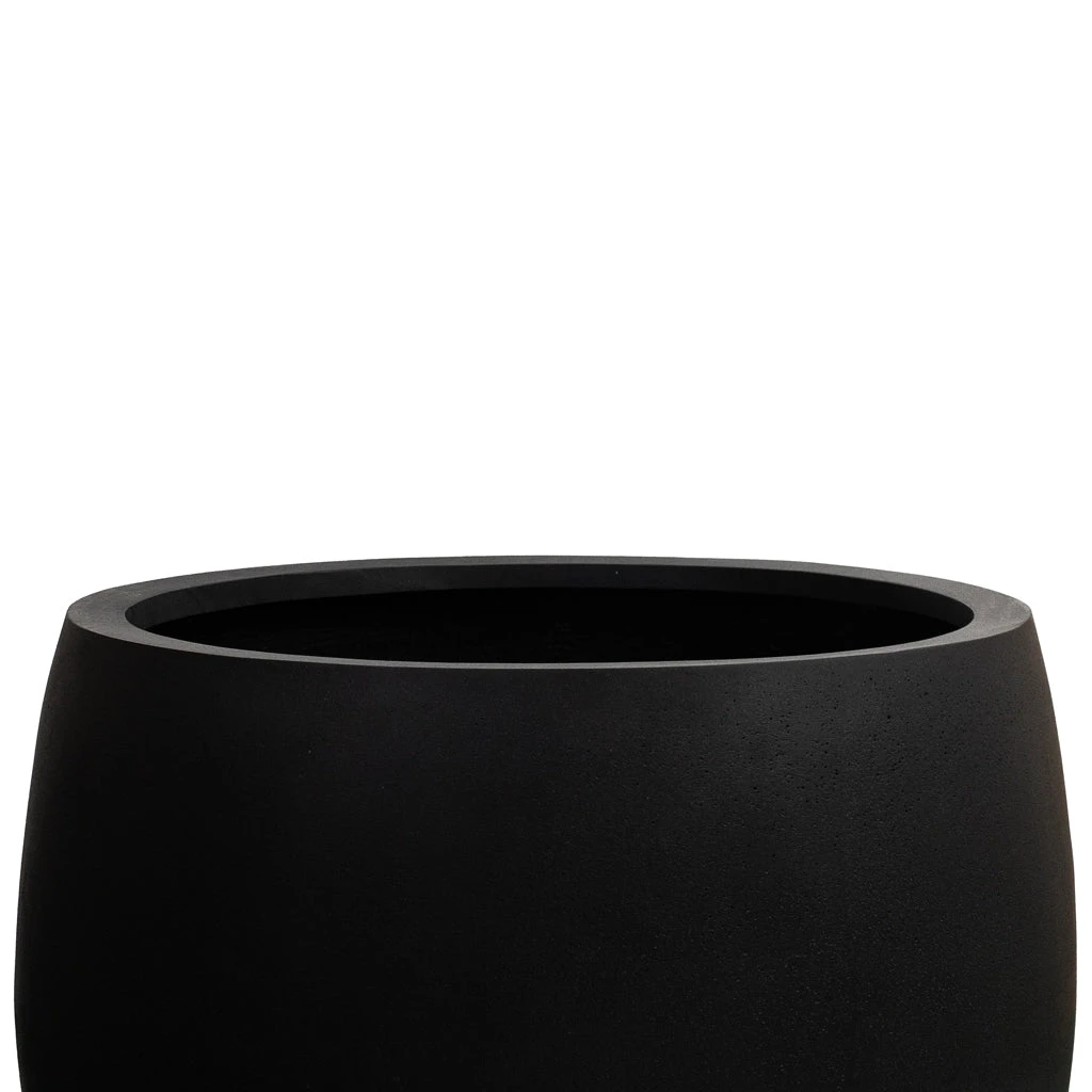 Orb Natural Planter - Black 4 Orb Natural Planter - Black - Image 2