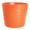 Oslo Plant Pot - Cayenne 2 Oslo Plant Pot - Cayenne -Hortology Plants Shop Oslo Pot Cayenne 13x10.5cm