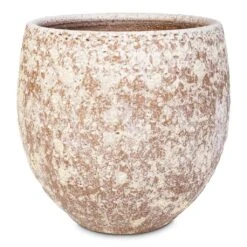 Ostia Plant Pot - Speckled 13 Ostia Plant Pot - Speckled -Hortology Plants Shop Ostia Pot Speckled 21x19cm 4f54857f a373 458a b6d6 65dc0ca1d004