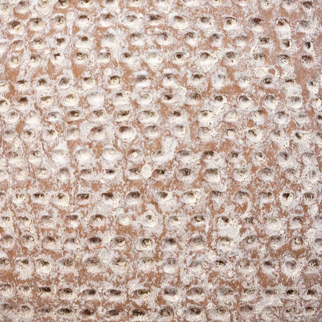 Ostia Plant Pot - Speckled 6 Ostia Plant Pot - Speckled - Image 4