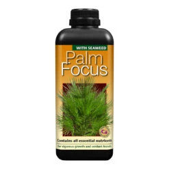 Palm Focus - Plant Nutrition -Hortology Plants Shop Palm Focus 1 litre 189f8c52 d65f 4b42 968b d4f000c9c179