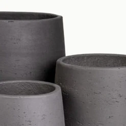 Patt Plant Pot - Black Washed 27 Patt Plant Pot - Black Washed -Hortology Plants Shop Patt Black Washed Studio 2