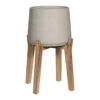 Patt Plant Pot - Tall Stand - Grey Washed 1 Patt Plant Pot - Tall Stand - Grey Washed -Hortology Plants Shop Patt Plant Pot Tall Stand Grey Washed